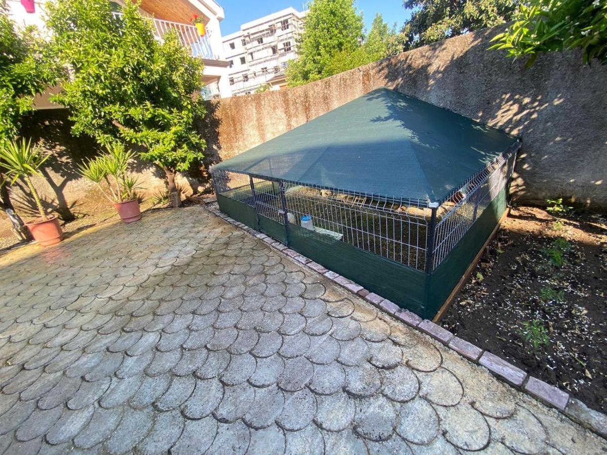 Gather Inn Guest House Shkodër 外观 照片