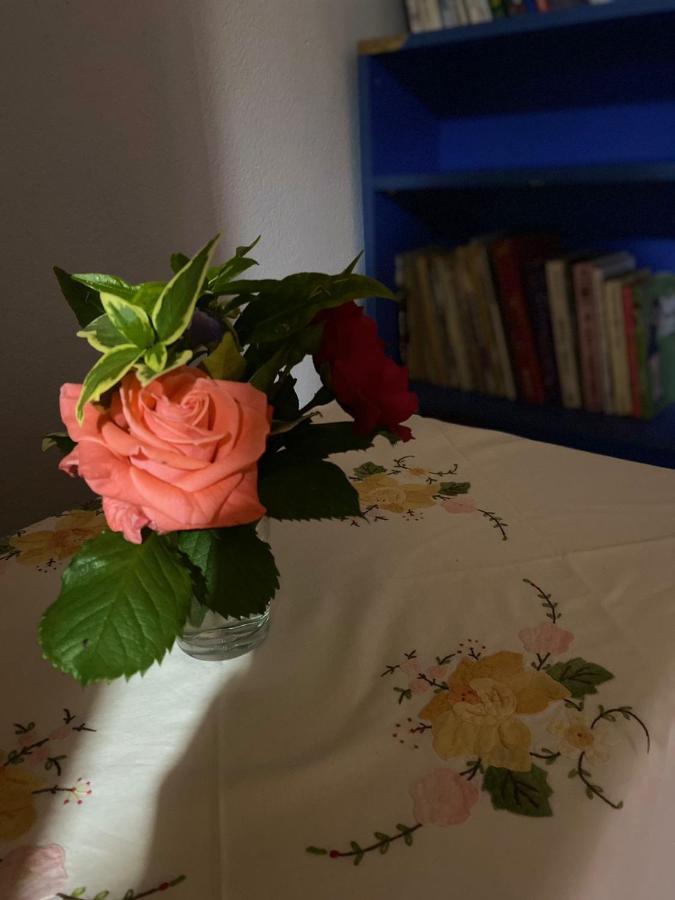 Gather Inn Guest House Shkodër 外观 照片